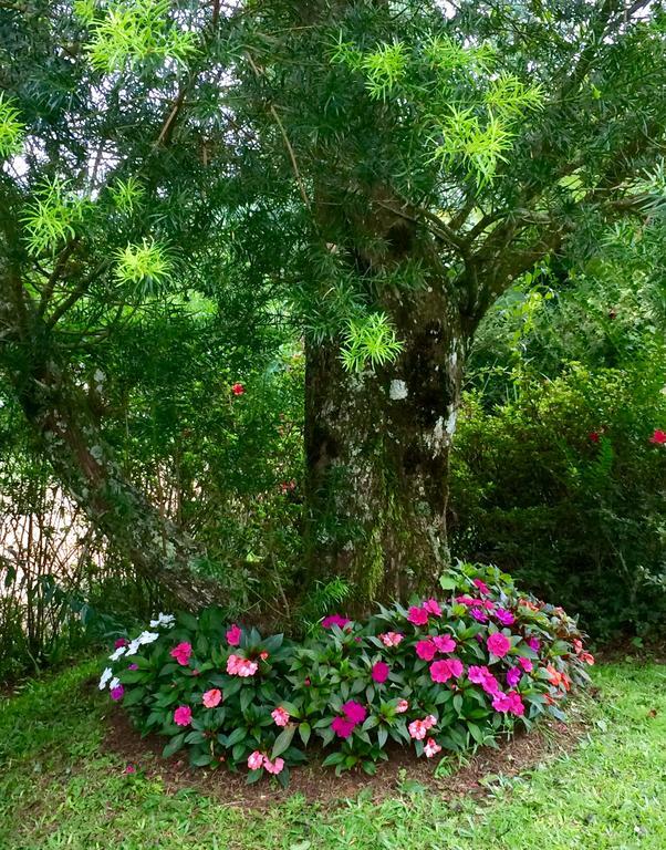 Chale Aconchegante Villa Monte Verde  Buitenkant foto